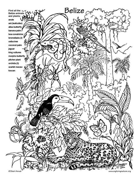 Animal Habitat Coloring Pages