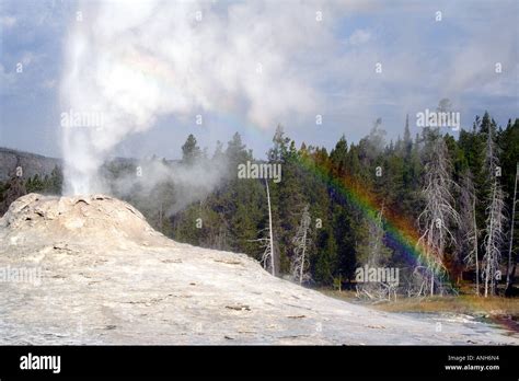 Castle Geyser With Rainbow Yellowstone National Park Usa Stock Photo