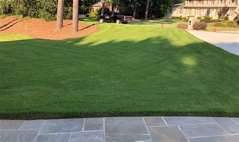 How To Care For Bermuda Grass Liquid Lawn