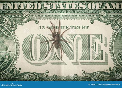 A Spider Crawls On A One Dollar Bill Stock Photo Image Of Document