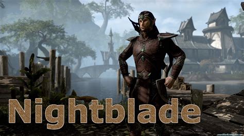 If you've never played it before, you still may have already heard that dragon's dogma: Nightblade Guide | Elder Scrolls Online Guides