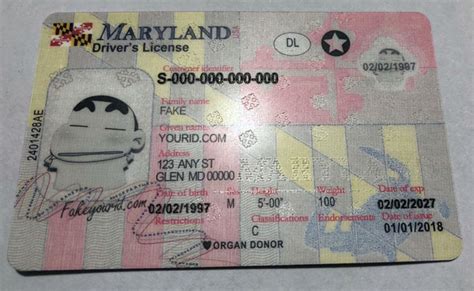 How To Make A Fake Maryland Drivers License Isofasr