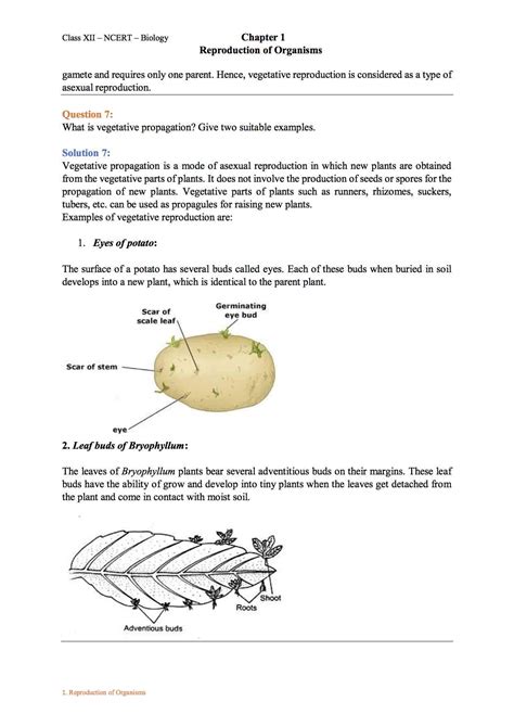 Ncert Solution For Class 12 Biology Chapter 1 Reproduction In Organisms