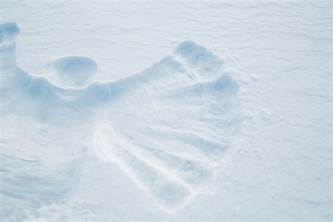 Snow Angel Free Stock Photo Public Domain Pictures