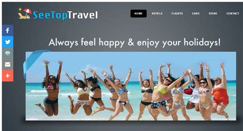 — starter site sold on flippa fully automated hotel flight and car search