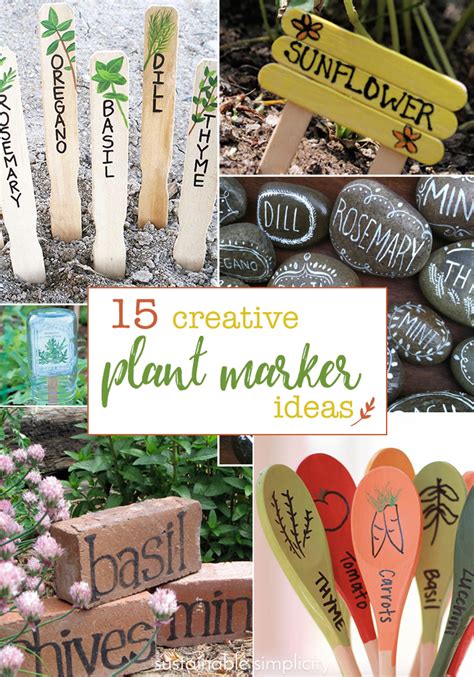 15 Creative Diy Garden Plant Marker Ideas Sustainable Simplicity