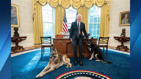 Uno De Los Perros De Biden Tuvo Un Incidente Agresivo En La Casa Blanca