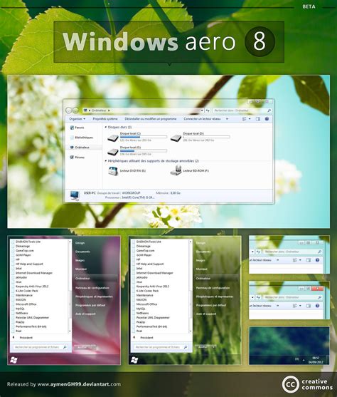 Download Windows Vista Aero Themes Biogett