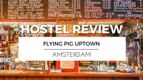 Visiting Amsterdam With Flying Pig Uptown Hostel Review Travel Vlog