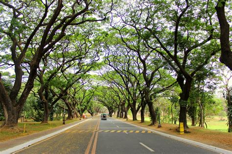 I attempted to describe up diliman courses in one word but i failed because sometimes i associate them with people or a person. Adventurous Feet: Quezon City: Photowalk at UP Diliman and ...