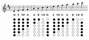 List Of Tin Whistle Notes Key Of D Tin Whistle Whistle Learn Music