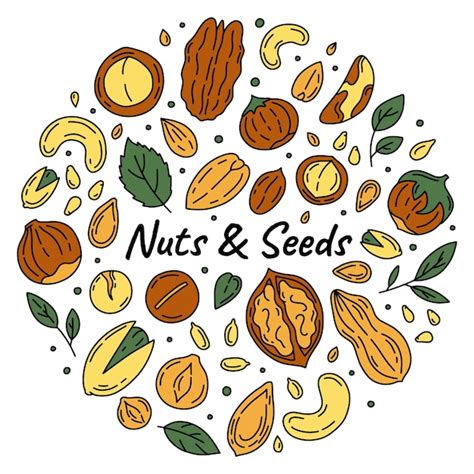 Premium Vector Nuts And Seeds Set Of Icons In The Doodle Style