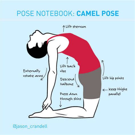 Yoga Pose Notebook Ustrasana Camel Pose Laptrinhx News