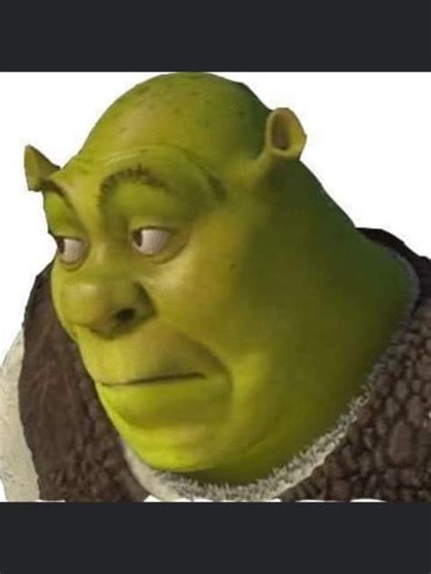Meme Shrek Memes Shrek Funny Shrek