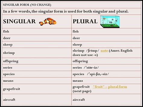 A Huge List Of Singular And Plural Nouns Words Onlymyenglish Kulturaupice