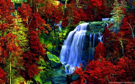 Autumn Forest Falls Pics Desktop Background