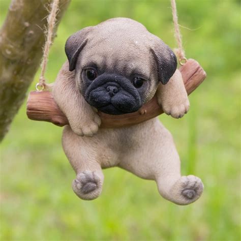 10 Amazing Cute Pictures Of Pug Puppies That Will Make You Go Aww