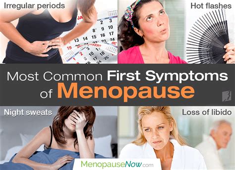 Wann Beginnt Die Menopause 🔥early Menopause Shecares