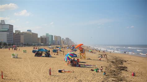 Browse expedia's selection of 1519 hotels and places to stay in virginia beach. 10 Best Oceanfront Hotels in Virginia Beach, VA for 2020 ...