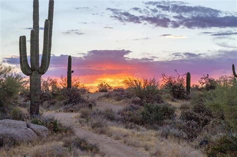 Desert Sunrise Along A Hiking Trail In Scottsdale Arizona Stock Photo