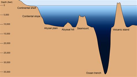 Ocean Floor Features You Should Know About • • Earthpedia