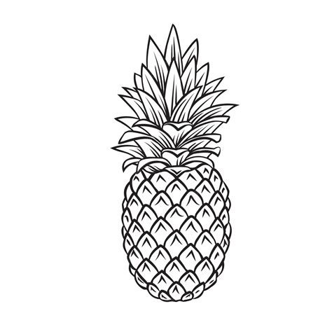 Premium Vector Pineapple Tropical Fruit Outline Icon Drawing