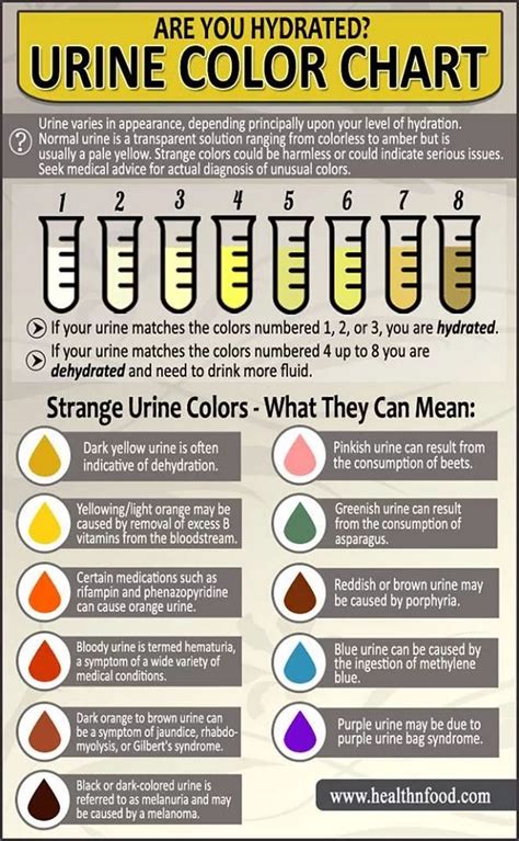 Pin On Prevention Urine Colors Chart Medications And Food Can Change