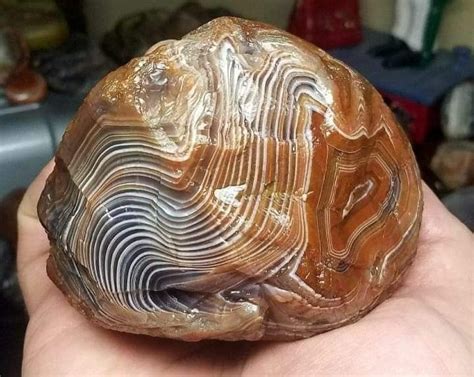 Pin by Michael Reynolds on Agate and jasper in 2020 | Mineral stone