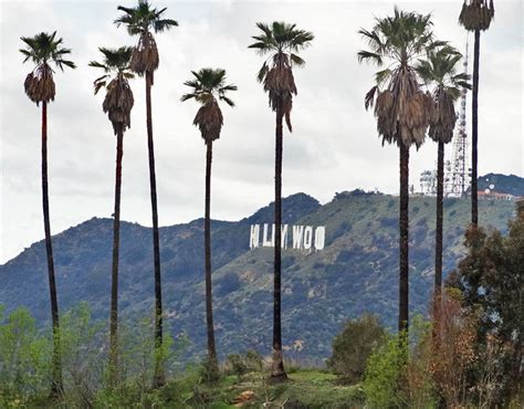 Hollywood Hills Wallpaper Wallpapersafari