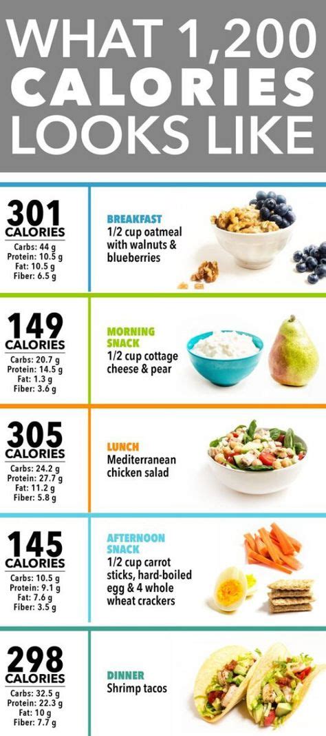 1200 Calorie Diet No Carbs ~ 26 Best Practices For Design