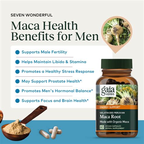 7 Amazing Maca Benefits For Men’s Health Hormones And More Gaia Herbs®