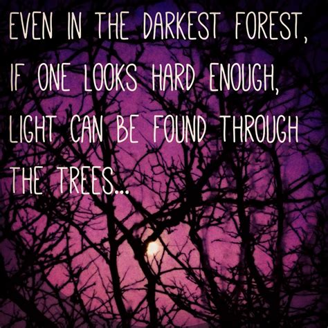 Even In The Darkest Forest If One Looks Hard Enough Light Can Be