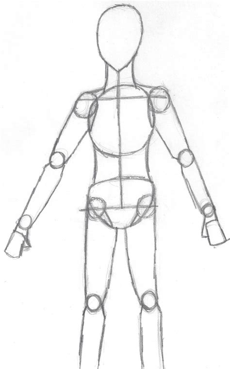 Hope Drawing Basic For Free Download Basic Body Drawing Body