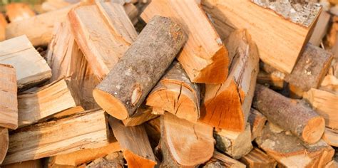Why Kiln Dried Firewood Is Better For Your Home And Your Wallet Home