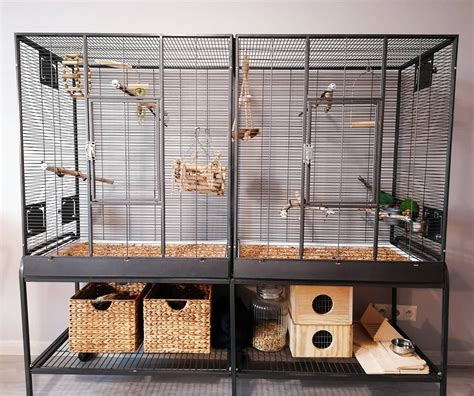 Best Parrot Cages Review How To Choose A Cage For The Parrot Timeline Pets