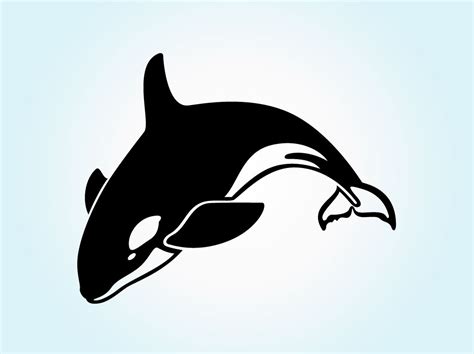 Orca Whale Outline Clipart Best