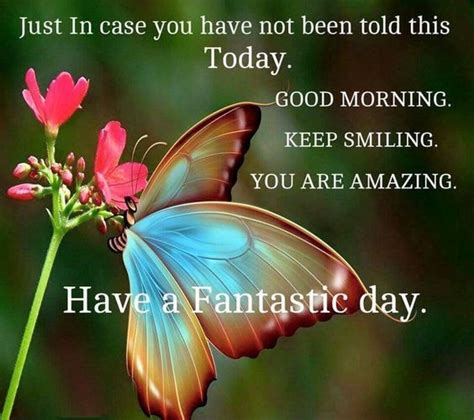 Butterfly Fantastic Day Quote Pictures Photos And Images For Facebook