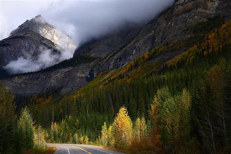 Roadside Landscape At Banff National Park Photograph By Jetson Nguyen