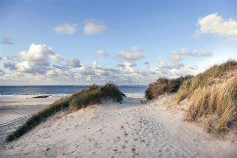 Sand And Dunes Near Beach Of Vlieland In The Netherlands With Bl Stock