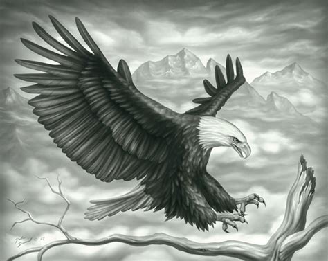 Pencil Drawings Of Eagles In Flight Pencildrawing2019