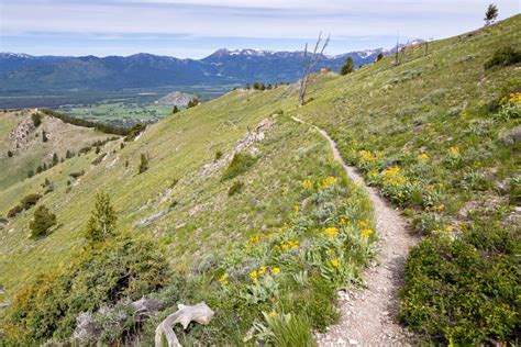 Josies Ridge Trail Gros Ventre Mountains Free Roaming Hiker