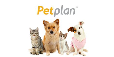 She has had extensive and careful treatment from the vet who handled my claim for me directly. Petplan Pet Insurance - 365 Pet Insurance
