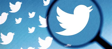 Twitter Takes Down Fake Accounts Verified By Mistake Techstory