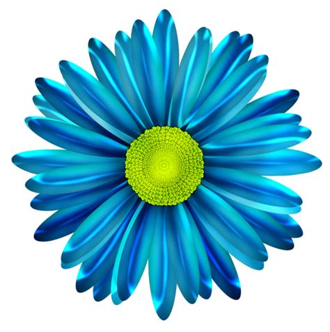 Gerber Daisy Clipart At Getdrawings Free Download
