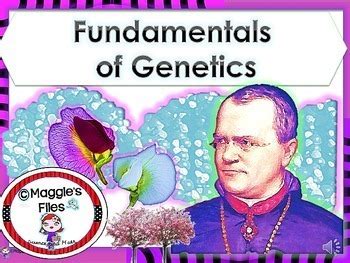 In the years since, geneticists have validated his basic conclusions and we now know they describe the first principles of genetics. MENDILIAN GENETICS INTRO by Maggie's Files | Teachers Pay ...