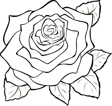 Also flower line art png available at png transparent variant. Uncoloured Rose Clip Art at Clker.com - vector clip art ...
