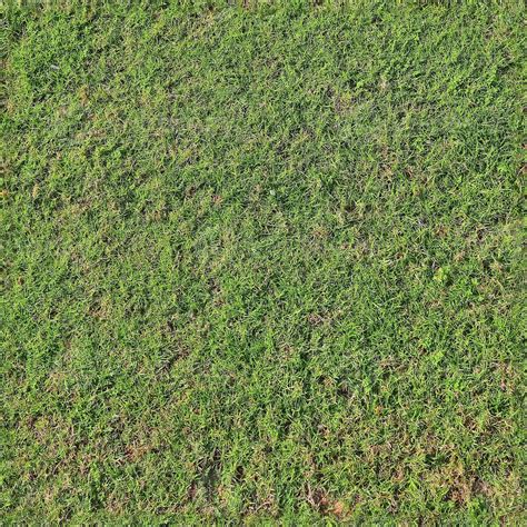 Photo Realistic Seamless Grass Texture In Hires With More Than