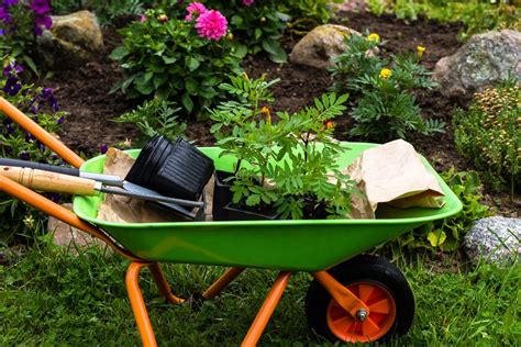 Garden tools can be divided into hand tools and power tools. Using Wheelbarrows In Gardens: How To Choose A Wheelbarrow ...