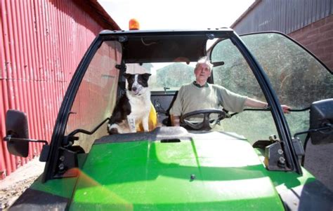 A Dog Belonging To Tom Hamilton Managed To Take Control Of A Tractor