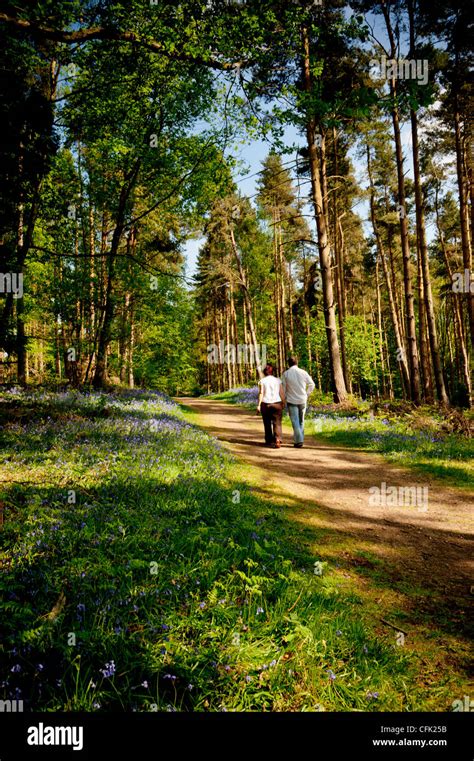 Couple Walking On Path Through Bluebell Woods Stock Photo Alamy